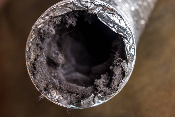 Best Best Air Duct Cleaning Company  in Loris, SC